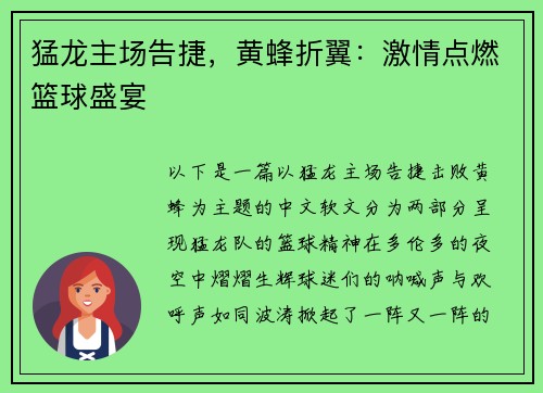 猛龙主场告捷，黄蜂折翼：激情点燃篮球盛宴