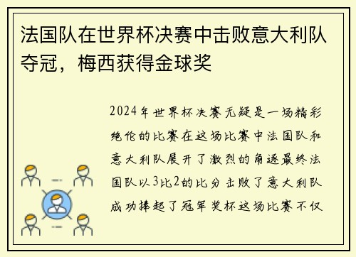 法国队在世界杯决赛中击败意大利队夺冠，梅西获得金球奖